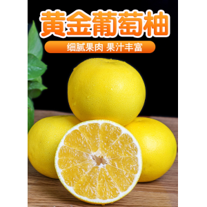 福建爆汁黄金葡萄柚应季新鲜水果整箱包邮