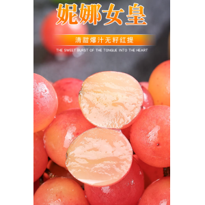 云南妮娜皇后新鲜水果无籽红葡萄提子顺丰包邮